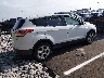 1FMCU0G92GU****** Salvamento y Destrozados 2016 Ford Escape en Estado de Tennessee