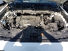JM3TCADY7J0****** Reparables 2018 Mazda CX-9 en Raleigh