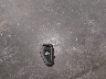 1FMCU0E17PU****** Wrecked 2023 Ford Escape in Iowa State