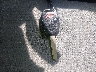 JHMGD38607S****** Salvage 2007 Honda Fit in North Carolina State