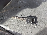1FTSW31P14E****** Salvamento 2004 Ford F-350 en Estado de Indiana