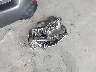 19XFC2F89KE****** Wrecked 2019 Honda Civic in Tennessee State
