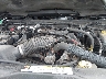 1J4BA6D17BL****** Reparables 2011 Jeep Wrangler en Albany
