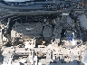 5J6RM4H42GL****** Reparables 2016 Honda CR-V en Raleigh