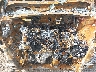 5N1DR2MM3HC****** Repairable 2017 Nissan Pathfinder in Knoxville
