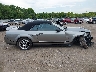 1ZVHT89S885****** Usados 2008 Ford Shelby Gt500 en Estado de Tennessee