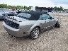 1ZVHT89S885****** Salvamento y Destrozados 2008 Ford Shelby Gt500 en Estado de Tennessee