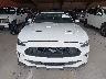 1FATP8UHXK5****** Destrozados 2019 Ford Mustang en Estado de Tennessee