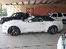 1FATP8UHXK5****** Reparables 2019 Ford Mustang en Estado de Tennessee