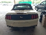 1FATP8UHXK5****** Destrozados 2019 Ford Mustang