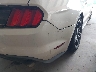 1FATP8UHXK5****** Usados 2019 Ford Mustang