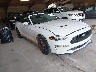 1FATP8UHXK5****** Salvamento y Destrozados 2019 Ford Mustang en Chattanooga