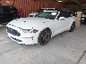 1FATP8UHXK5****** Usados y Reparables 2019 Ford Mustang en Chattanooga