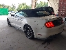 1FATP8UHXK5****** Salvamento y Reparables 2019 Ford Mustang en Chattanooga