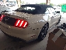1FATP8UHXK5****** Salvamento y Destrozados 2019 Ford Mustang en Estado de Tennessee