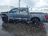 1FTEW3KP8RK****** Salvage 2024 Ford F-150