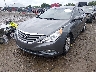 5NPEB4AC7DH****** Used and Repairable 2013 Hyundai Sonata in Indianapolis