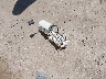 4T1BF1FK8FU****** Wrecked 2015 Toyota Camry in Texas State