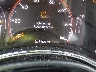 1C4RJEAGXEC****** Salvage 2014 Jeep Grand Cherokee in Fort Myers