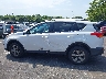2T3WFREV0FW****** Repairable 2015 Toyota RAV4 in Tennessee State
