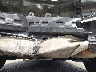 3KPF24AD7ME****** Repairable 2021 Kia Forte