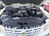 1GYFC16299R****** Repairable 2009 Cadillac Escalade in Nashville