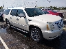 1GYFC16299R****** Salvage and Wrecked 2009 Cadillac Escalade in Nashville