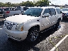 1GYFC16299R****** Used and Repairable 2009 Cadillac Escalade in Nashville