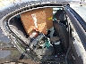 WBAVA33537P****** Destrozados 2007 BMW 3 Series en Seattle