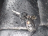 5TFAY5F16EX****** Salvage 2014 Toyota Tundra in Illinois State