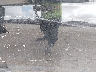 5NPD74LF7LH****** Used and Repairable 2020 Hyundai Elantra in San Antonio South