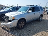 1FMCU9EG1CK****** Usados y Reparables 2012 Ford Escape en Buffalo
