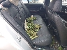 WBAVC93567K****** Destrozados 2007 BMW 328xi en Appleton