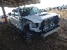 3TMAZ5CN0PM****** Salvamento y Destrozados 2023 Toyota Tacoma en Phoenix