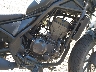 MLHNC5305S5****** Wrecked 2025 Honda Rebel 300 in Rec Rides Online Exclusive