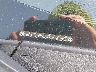 2HGFA1F50BH****** Wrecked 2011 Honda Civic in New York State