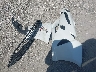 JTDKARFU5G3****** Destrozados 2016 Toyota Prius en Estado de Florida