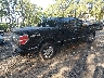 1FTFW1EV7AF****** Salvamento y Destrozados 2010 Ford F-150 en Estado de Virginia