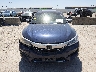 1HGCR2F54GA****** Destrozados 2016 Honda Accord en Estado de Texas