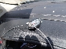 5N1DL0MN5HC****** Salvage 2017 Infiniti QX60 in Louisiana State