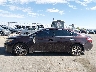 4T1BK1EB5DU****** Repairable 2013 Toyota Avalon in Texas State