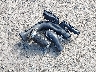 3N1CN7AP7FL****** Wrecked 2015 Nissan Versa in New Mexico State