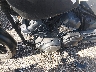 JYAVN05E6FA****** Repairable 2015 Yamaha Bolt in Houston South