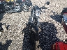 JYAVN05E6FA****** Wrecked 2015 Yamaha Bolt in Texas State