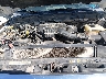 1FT7W2B68FE****** Repairable 2015 Ford F-250 in Dallas-Fort Worth