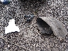 1GNSKBKC1GR****** Wrecked 2016 Chevrolet Tahoe in Ohio State