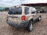1FMYU93127K****** Salvamento y Destrozados 2007 Ford Escape en Estado de Nebraska