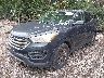 5XYZTDLB2FG****** Usados y Reparables 2015 Hyundai Santa Fe en Indianapolis