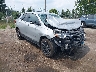 2GNAXKEV4K6****** Salvage and Wrecked 2019 Chevrolet Equinox in Detroit