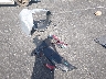 5YFT4MCE8RP****** Wrecked 2024 Toyota Corolla in Nevada State